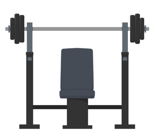 The Ultimate Guide to Weightlifting Equipment for Home and Gym