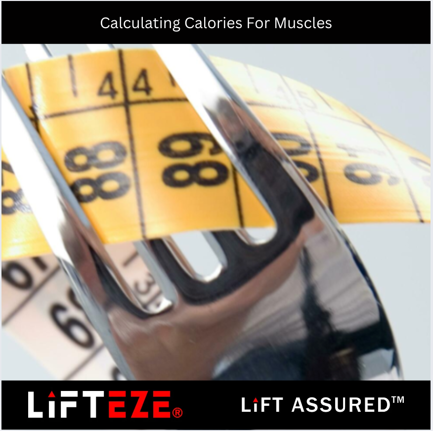 HOW TO CALCULATE YOUR DAILY CALORIE NEEDS FOR MUSCLE GAIN