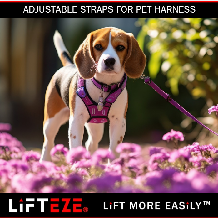 THE ROLE OF ADJUSTABLE STRAPS IN ACHIEVING A SECURE PET HARNESS FIT