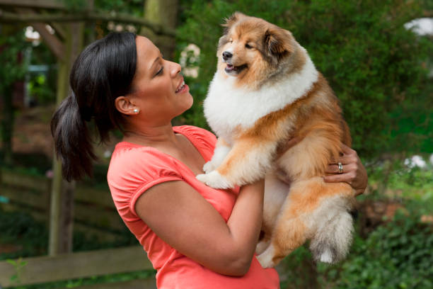 A Beginner's Guide to Safe Pet Lifting Practices