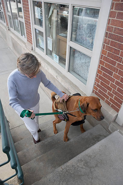 Pet Mobility Assistance: Lifting Aids for Dogs and Cats