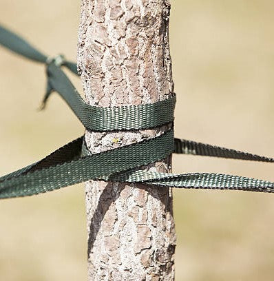 USING PULLING STRAPS FOR TREE AND STUMP REMOVAL PROJECTS