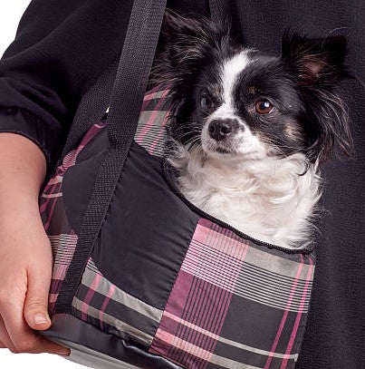 THE PROS AND CONS OF DIFFERENT PET LIFTING HARNESSES