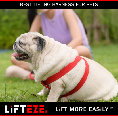 SELECTING THE BEST LIFTING HARNESS FOR PETS WITH MOBILITY CHALLENGES