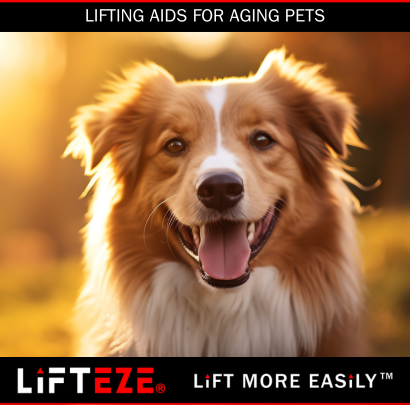 HOW LIFTING AIDS SUPPORT AGING PETS WITH JOINT OR MUSCLE WEAKNESS