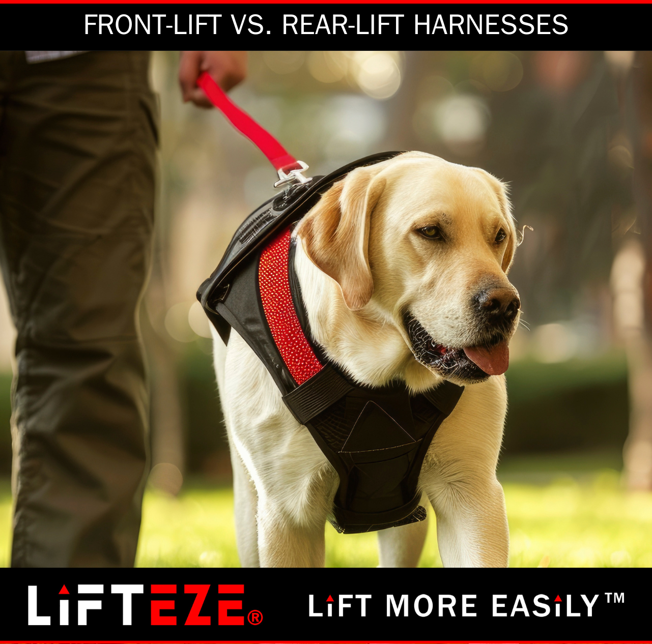 COMPARING FRONT-LIFT VS. REAR-LIFT HARNESSES FOR DIFFERENT CONDITIONS