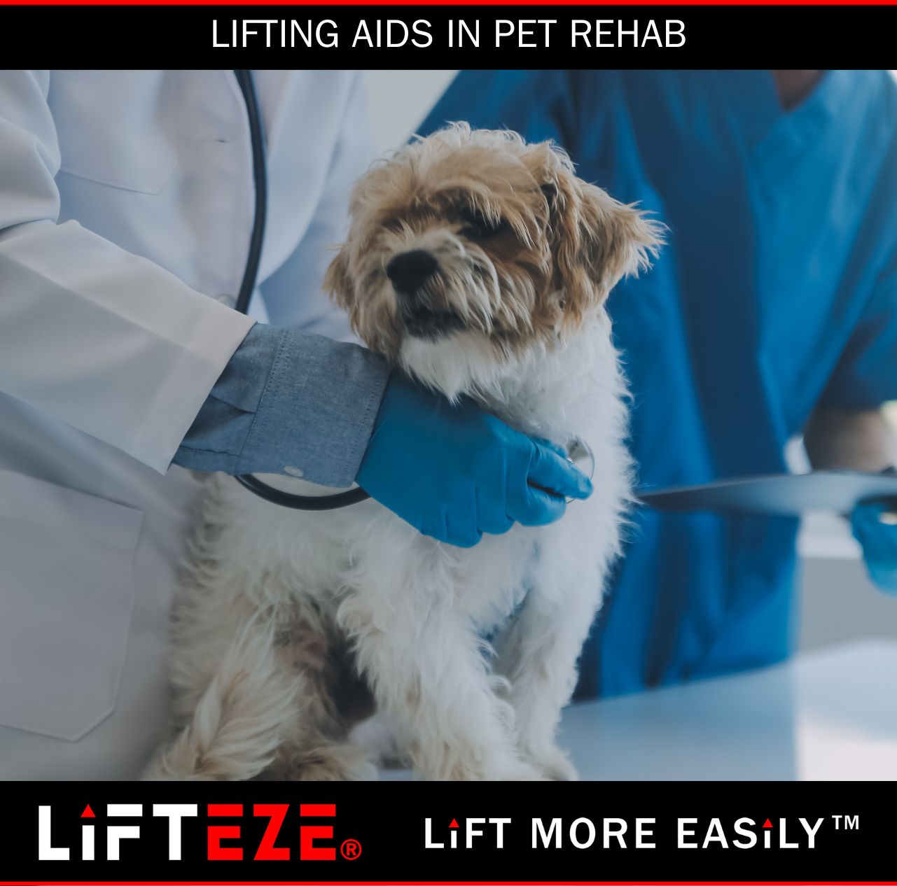 INTEGRATING LIFTING AIDS WITH REHABILITATION PLANS FOR INJURED PETS