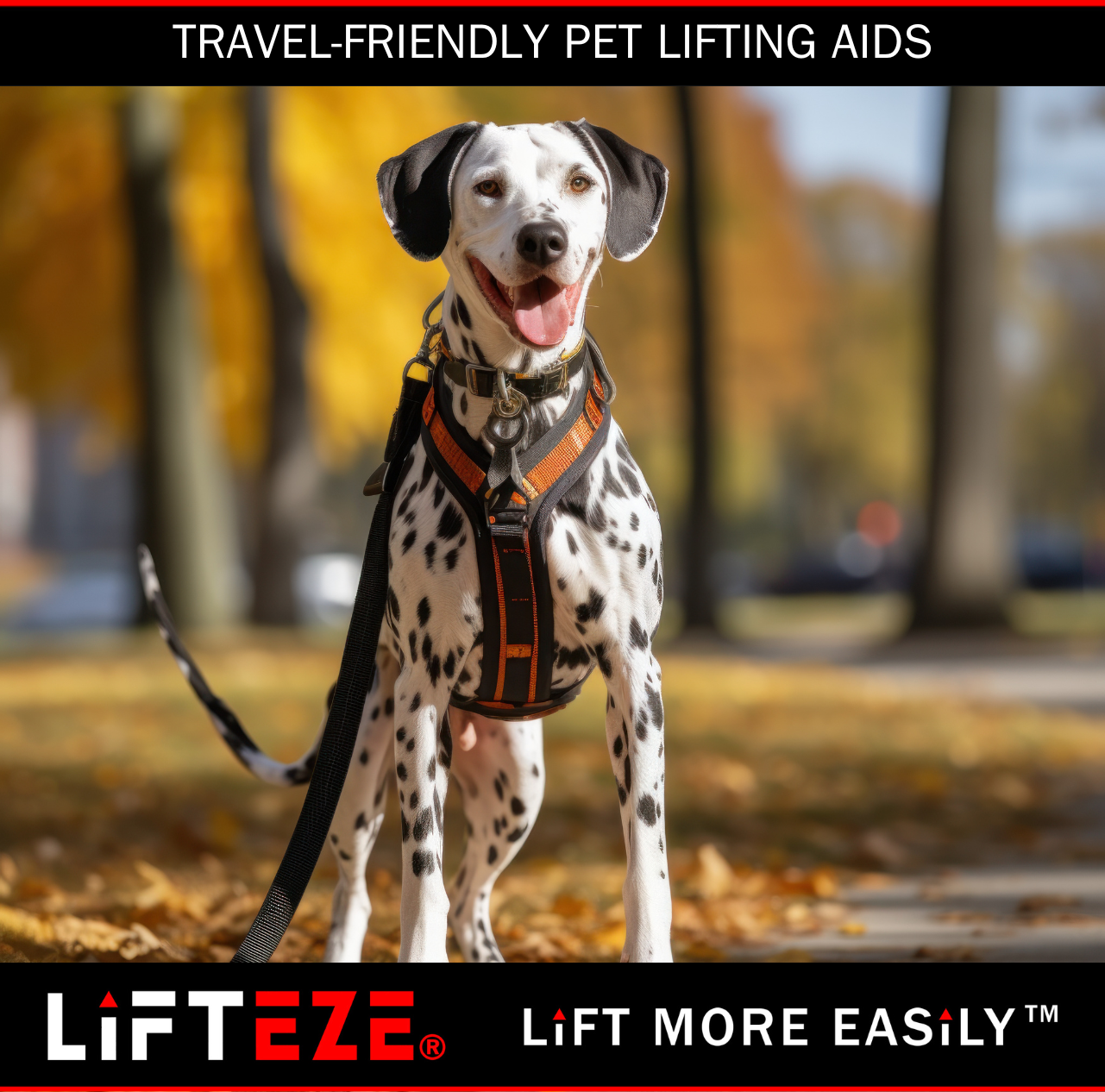 TRAVEL-FRIENDLY PET LIFTING AIDS: COMPACT AND PORTABLE SOLUTIONS