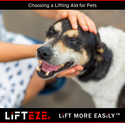 CHOOSING THE RIGHT LIFTING AID FOR YOUR DOG OR CAT’S NEEDS