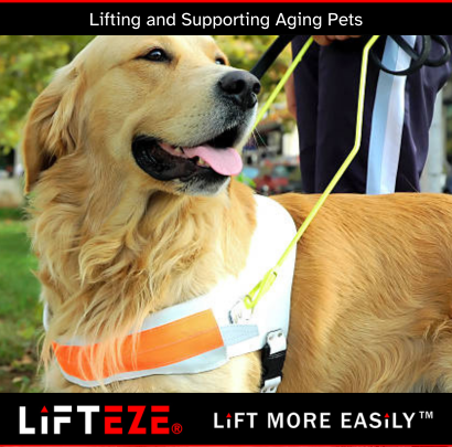 KEY TIPS FOR SAFELY LIFTING AND SUPPORTING AGING PETS