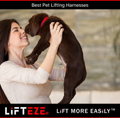 EVALUATING THE BEST PET LIFTING HARNESSES: BENEFITS AND DRAWBACKS