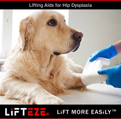 LIFTING AIDS FOR DOGS WITH HIP DYSPLASIA: WHAT TO KNOW