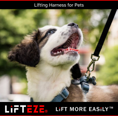 CHOOSING THE RIGHT LIFTING HARNESS FOR SENIOR OR INJURED PETS