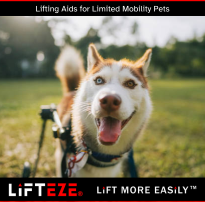 BEST PRACTICES FOR USING LIFTING AIDS TO ASSIST PETS WITH LIMITED MOBILITY