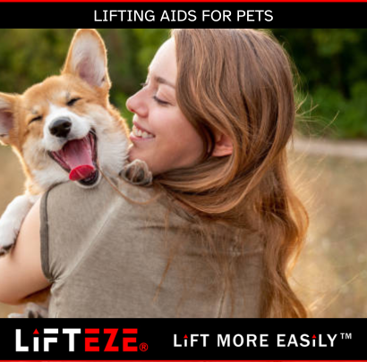 THE ROLE OF LIFTING AIDS IN IMPROVING PET MOBILITY AND RECOVERY