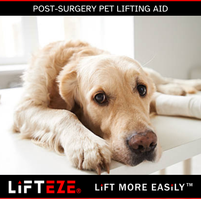 ASSISTING PETS POST-SURGERY: CHOOSING THE RIGHT LIFTING AID