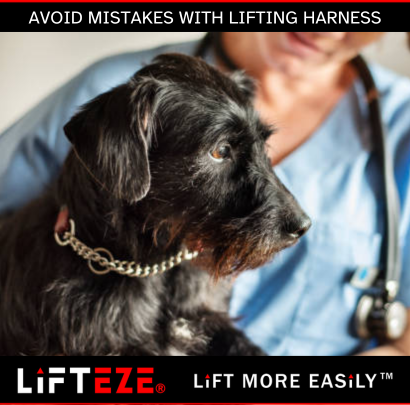 COMMON MISTAKES TO AVOID WHEN USING A PET LIFTING HARNESS