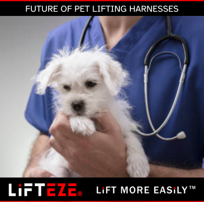 INNOVATIONS IN PET MOBILITY AIDS: WHAT’S NEXT FOR LIFTING HARNESSES?