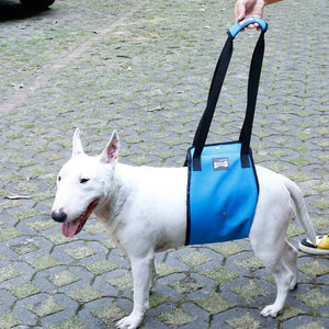 Portable Dog Sling For Back Legs Hip Support Harness to Help Lift Dogs Rear For Canine Aid and Old Dog Ligament Rehabilitation L