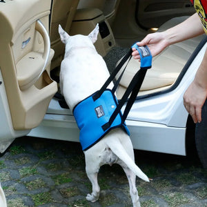 Portable Dog Sling For Back Legs Hip Support Harness to Help Lift Dogs Rear For Canine Aid and Old Dog Ligament Rehabilitation L