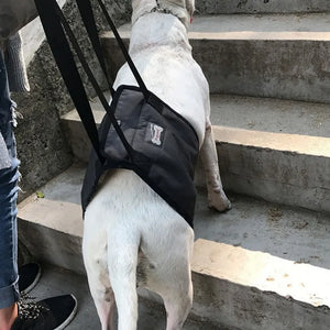 Portable Dog Sling For Back Legs Hip Support Harness to Help Lift Dogs Rear For Canine Aid and Old Dog Ligament Rehabilitation L