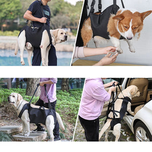 Dog Sling Carrier Dog Carry Sling Pet Legs Support & Rehabilitation Dog Lift Harness For Up & Down Stairs Arthritis Elderly Dogs