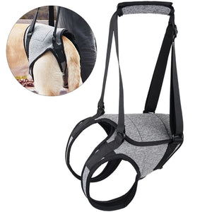 C63B Dog Lift Harness for Large Dogs Dog Sling for Back Legs Dog Support Padded Harness for Elderly Injured Disabled Dogs