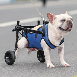 ATUBAN Small Dog Wheelchair, Adjustable Dog Wheelchairs-Mobility Aids for Disabled Pets, Suitable for Pets Weighing 8-20 Pounds