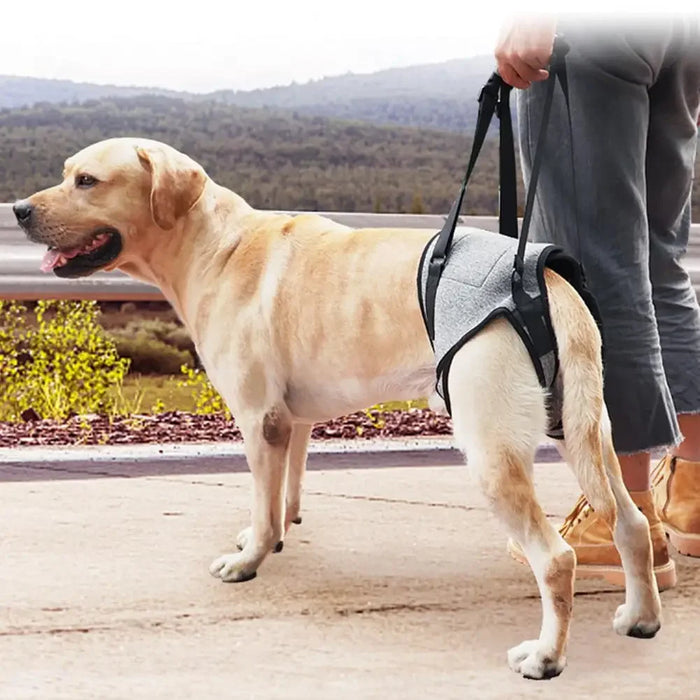 Dog Support Harness Elastic Dog Lift Harness Reduce Pressure Walking Aid Disabled Pet Mobility Hind Leg Support لجام الخيل