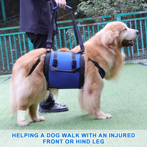 Portable Dog Sling for Back Legs Hip Support Harness Older Limping Canine Aid Dog Assist Rehabilitation Lifting Harness Leashes