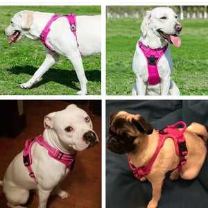 Reflective Adjustable Breathable Vest Chest Strap for Small Medium Large Dogs Pet Dog Harness Cat Puppy Collar Dog Accessoires