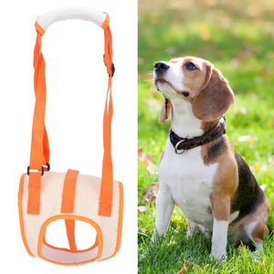 Mesh Pet Dog Lift Harness Rear Leg Support Belt Lifting Assist For Disabled Injury Elder