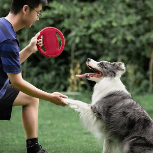 OUZEY Bite Resistant Flying Disc Training Toys For Dogs Outdoor Interactive Pet Puppy Training & Behavior Aids EVA Material