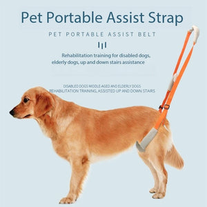 Pet Rear Leg Support Aid Sling Pet Dog Lift Harness For Elderly Dog With Poor Stability Back Legs Hip Disabled Joint Injury