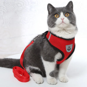 Breathable Cat Harness Leash Set Adjustable Puppy Cats Harness Vest Kitten Collar Necklace Small Dog Chest Strap Pet Accessories