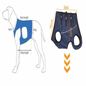 Dog Lift Harness Pet Support Rehabilitation Sling Padded for Pet Old Disabled Joint Injuries Arthritis Dog Walk Nursing Clothing