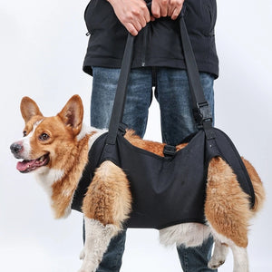 Dog Carry Sling for Legs Support Adjustable Dog Lift Harness Walking Support Strap for Puppy Injuries Joint Recovery