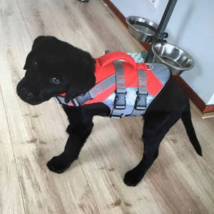 Dog Life Jacket Swimming Vest Lightweight Pet Lifesaver with Lift Handle Leash Ring Puppy Safety Vest for Small Medium Large Dog