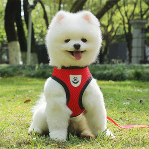 Breathable Cat Harness Leash Set Adjustable Puppy Cats Harness Vest Kitten Collar Necklace Small Dog Chest Strap Pet Accessories