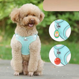 Dog Harness Leash Set for Small Medium Dog Cat Chest Strap Reflective Dog Clothes Vest Set Chihuahua Outdoor Walking Pet Supplie