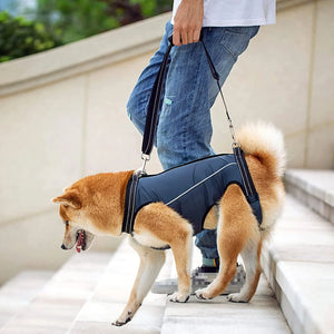 Dog Support Harness Lift Harness Rehabilitation Sling Padded Breathable Straps for Old Disabled Joint Injuries Arthritis