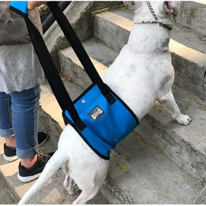 Portable Dog Sling For Back Legs Hip Support Harness to Help Lift Dogs Rear For Canine Aid and Old Dog Ligament Rehabilitation