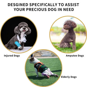 Dog Lift Harness Pet Support Rehabilitation Sling Padded for Pet Old Disabled Joint Injuries Arthritis Dog Walk Nursing Clothing