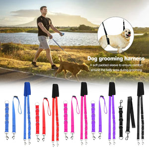 Pet Adjustable Dog Grooming Belly Strap D-rings Bathing Band Free Size Pet Traction Belt Dog Collar Dog Harness 3pcs