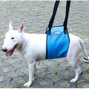 Portable Dog Sling For Back Legs Hip Support Harness to Help Lift Dogs Rear For Canine Aid and Old Dog Ligament Rehabilitation