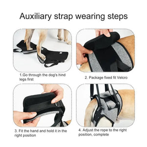 Dog Support Harness Elastic Dog Lift Harness Reduce Pressure Walking Aid Disabled Pet Mobility Hind Leg Support لجام الخيل