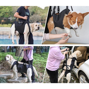 Dog Carry Sling for Legs Support Adjustable Dog Lift Harness Walking Support Strap for Puppy Injuries Joint Recovery