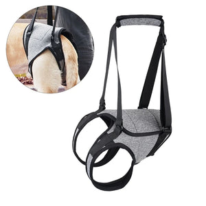 C63B Dog Lift Harness for Large Dogs Dog Sling for Back Legs Dog Support Padded Harness for Elderly Injured Disabled Dogs